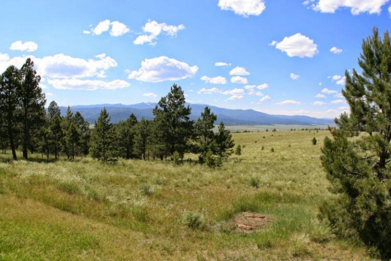 American Creek Ranch New Mexico Near Angel Fire and Taos ski resorts