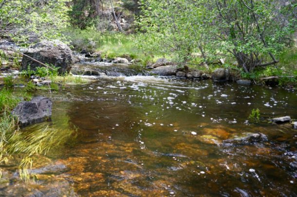 Coyote Creek Ranch