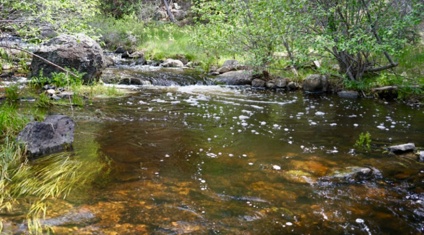 Coyote Creek Ranch New Mexico