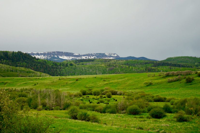 Broken Bone Ranch