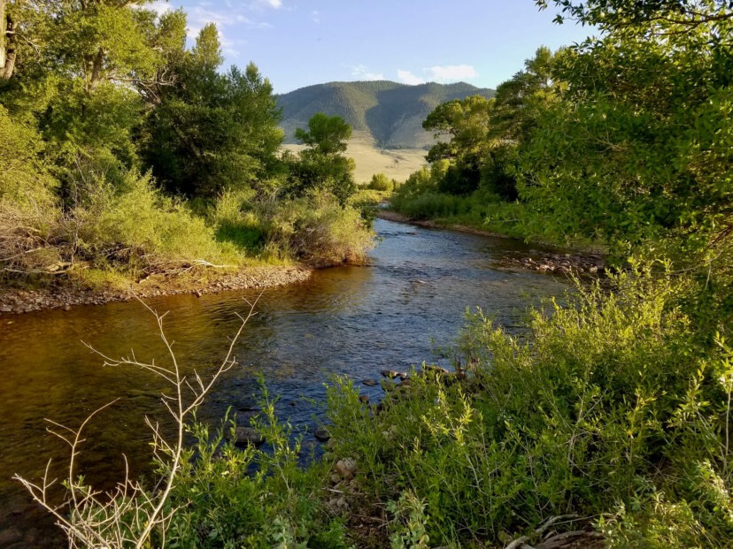 Bow Fiddle Ranch – Homestead