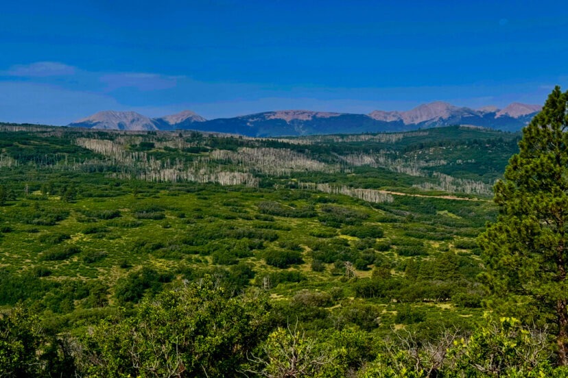 Scarcity of  ranch land offers both challenges and opportunities